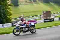 Vintage-motorcycle-club;eventdigitalimages;mallory-park;mallory-park-trackday-photographs;no-limits-trackdays;peter-wileman-photography;trackday-digital-images;trackday-photos;vmcc-festival-1000-bikes-photographs